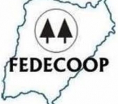fedecoop_corrientes