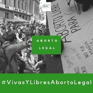 CONTINUA EL DEBATE SOBRE EL ABORTO EN COMISIONES