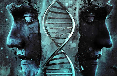 portada CARDYNAL