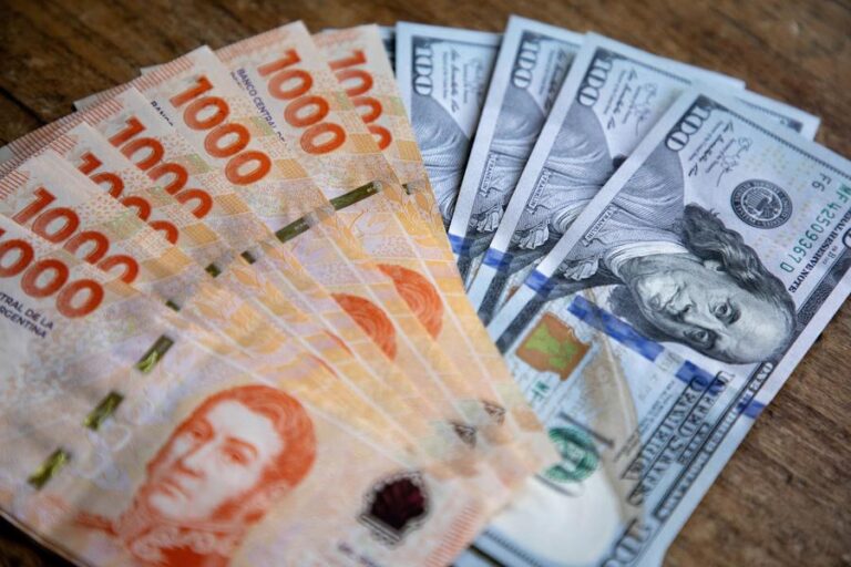 SUBE EL DÓLAR, SUBE LA INDIGENCIA, SUBE LA POBREZA..¿HASTA CUÁNDO? 