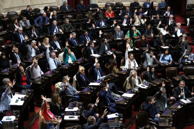 DIPUTADOS RECHAZÓ EL DNU QUE AUMENTA LOS FONDOS RESERVADOS DE LA SIDE