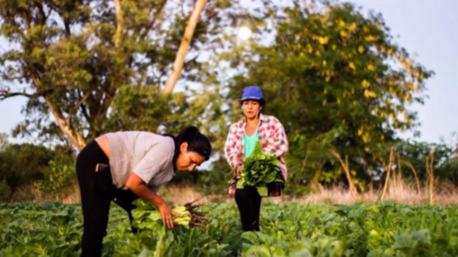 Portada. Exigencia Agricultura Familiar