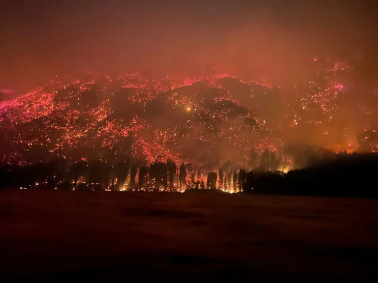 Portada. Incendio Patagonia