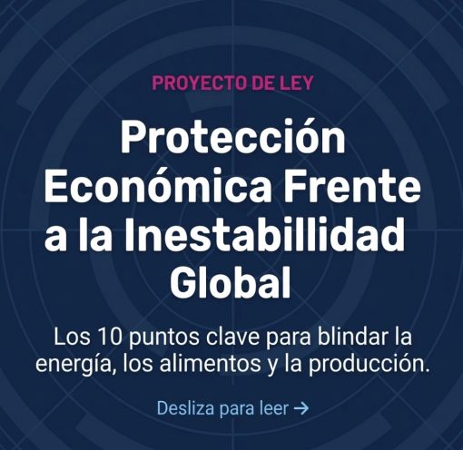 Portada. Protección económica Sur Global
