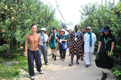 portada. China turismo rural