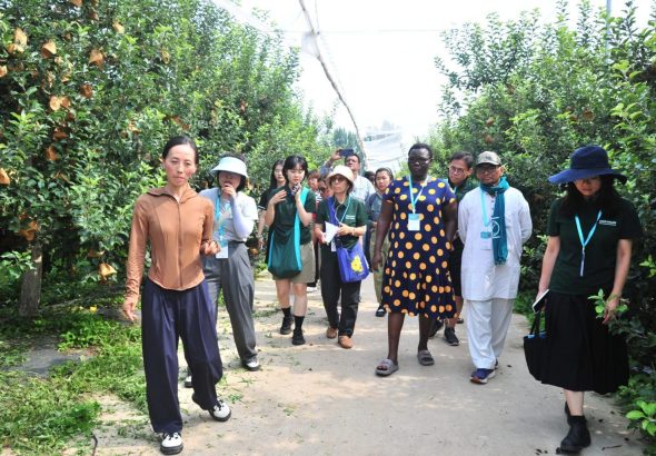 portada. China turismo rural