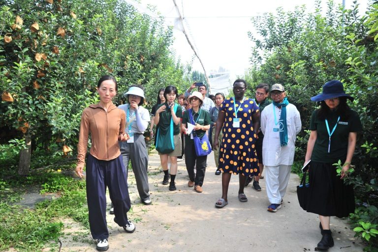 portada. China turismo rural
