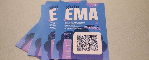 Ley Ema portada